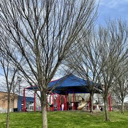 Coleman Park