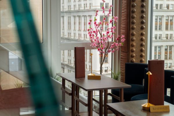 Hide Rooftop by null