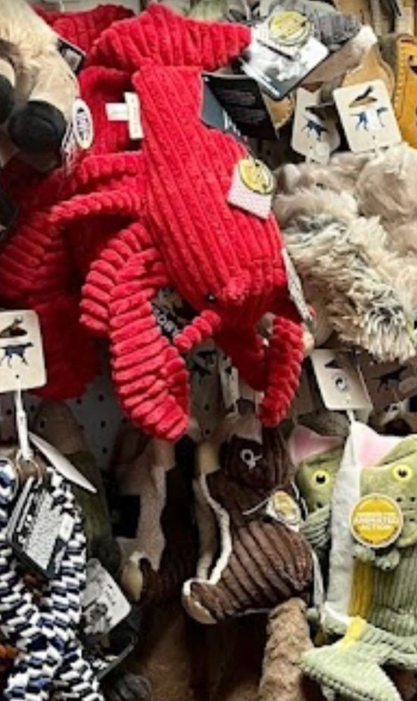 CRYSTAL CLEAR FAMILY PETS Updated October 2024 33 High St