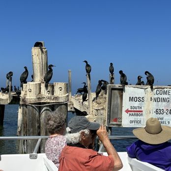 Monterey Bay Eco Tours - Boat Tours Near Me - Moss Landing, California Monterey Bay Eco Tours - Boat Tours Near Me - Moss Landing, California