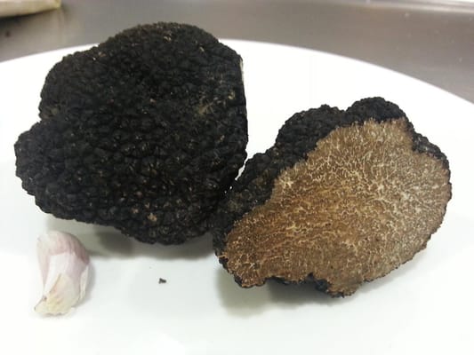 El Cigró d'Or by null