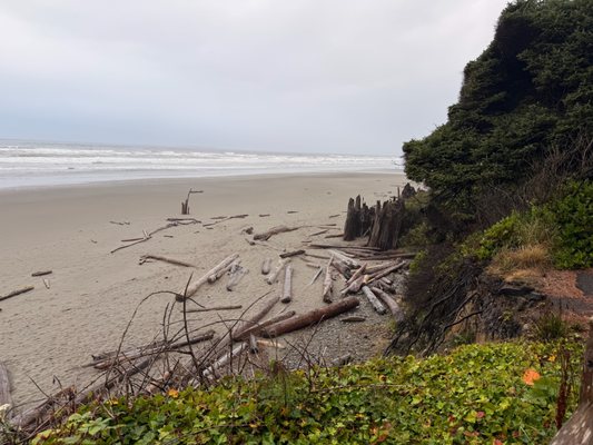 Kalaloch Campground by null