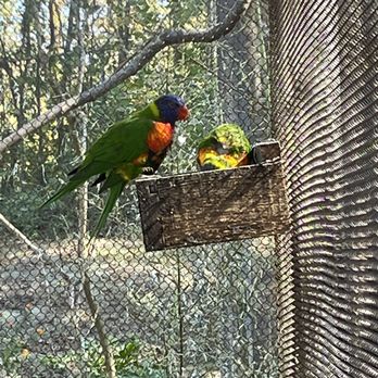 Sylvan Heights Bird Park - Parks Near Me - Scotland Neck, North Carolina Sylvan Heights Bird Park - Parks Near Me - Scotland Neck, North Carolina