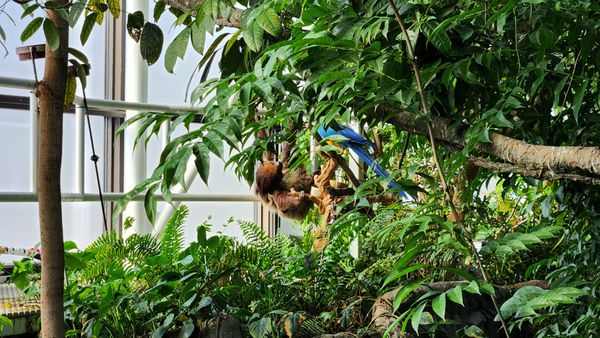 National Aquarium by null
