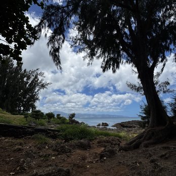 Shark's Cove - Beaches Near Me - Haleiwa, Hawaii
