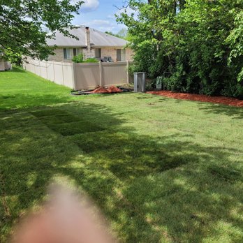 Chris Scaping - a view of a yard with a fence and trees - Lawn Services Near Me Chris Scaping - a view of a yard with a fence and trees - Lawn Services Near Me