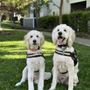 Photo of Amador Valley Veterinary Center
