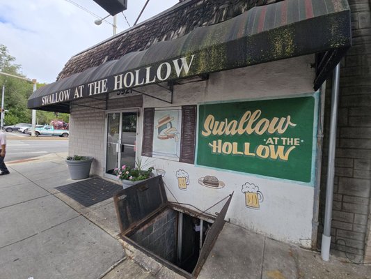 Swallow At the Hollow by null