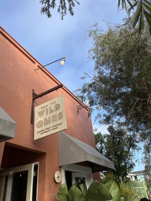 Only The Wild Ones by null