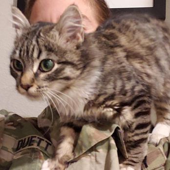 Paws in Need - Salina - Community Service/Non-Profit Near Me - San Ramon, California Paws in Need - Salina - Community Service/Non-Profit Near Me - San Ramon, California