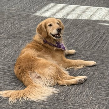 Walker Veterinary Hospital - Happy & healthy! - Veterinarians Near Me - Stockton, California Walker Veterinary Hospital - Happy & healthy! - Veterinarians Near Me - Stockton, California