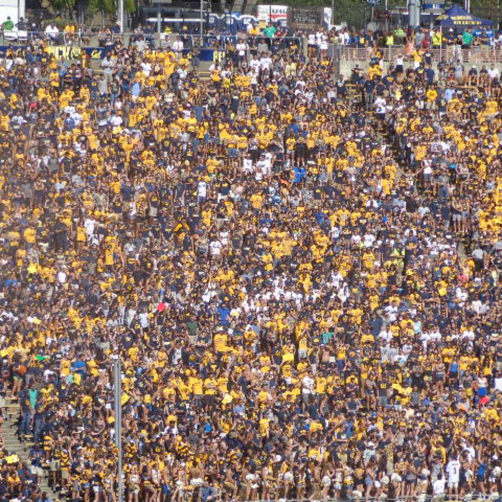 California Memorial Stadium - The Cal student section. ... The students are usually great with their card stunts, but not today. - Stadiums & Arenas Near Me - Berkeley, California California Memorial Stadium - The Cal student section. ... The students are usually great with their card stunts, but not today. - Stadiums & Arenas Near Me - Berkeley, California