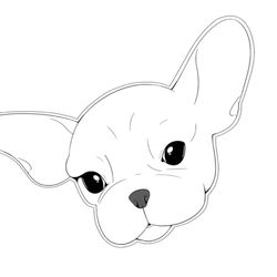 Rufus to the Rescue - Meet Rufus!