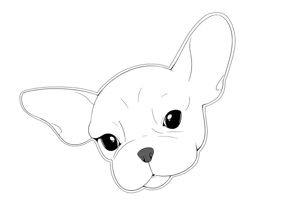 RUFUS TO THE RESCUE Pet Boarding Orlando, FL Phone Number Yelp