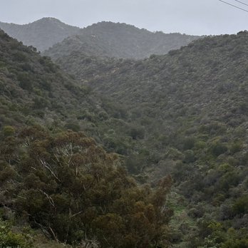 Catalina Eco Zip Line Tours - Tours Near Me - Avalon, California Catalina Eco Zip Line Tours - Tours Near Me - Avalon, California