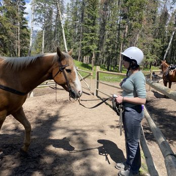 Banff Harley-Davidson - Merlin was such a good boy! - Horseback Riding Near Me - Banff, Alberta