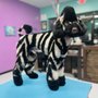 Pawsh Purrfect Grooming 