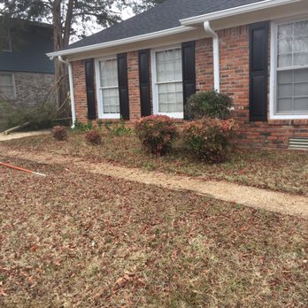 Karol's Tree Service - Tree Services Near Me - Nashville, Tennessee Karol's Tree Service - Tree Services Near Me - Nashville, Tennessee