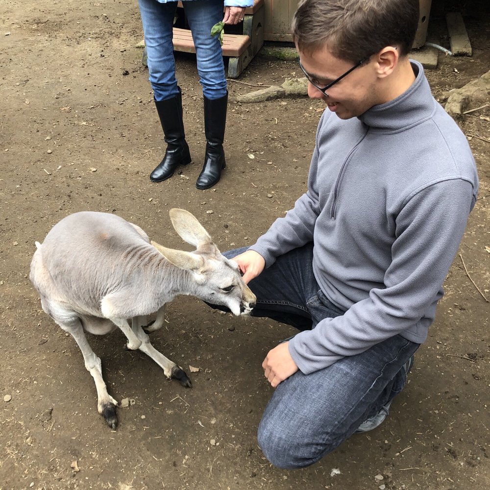 The Outback Kangaroo Farm - Zoos Near Me - Arlington, Washington The Outback Kangaroo Farm - Zoos Near Me - Arlington, Washington