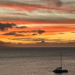 ULU KITCHEN - Updated January 2025 - 236 Photos & 123 Reviews - 2365 ...