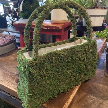 Terrarium - purse planter - Home Decor Near Me - Tomball, Texas Terrarium - purse planter - Home Decor Near Me - Tomball, Texas