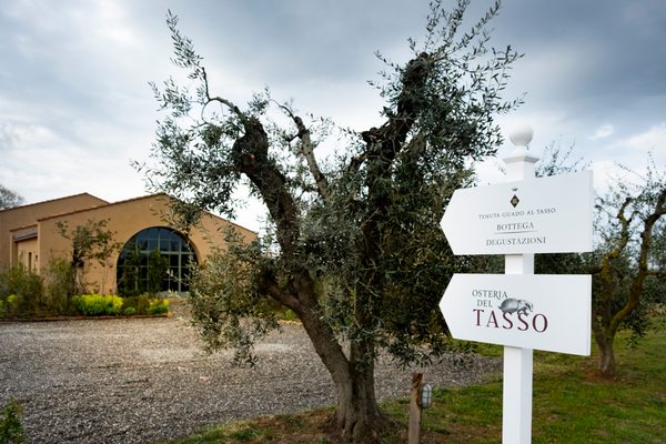 Osteria del Tasso by null
