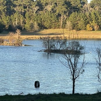 Keith-Wiess Park - One of the lakes - Parks Near Me - Houston, Texas