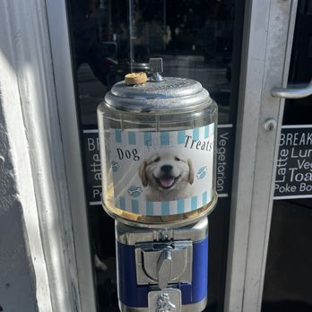 Brown Dog Deli - Free dog treats - Delis Near Me - Charleston, South Carolina Brown Dog Deli - Free dog treats - Delis Near Me - Charleston, South Carolina