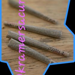 Theo A Cannabis - Pre rolls w kief