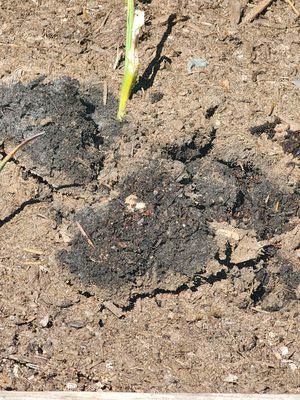 Cedar Grove Composting by null