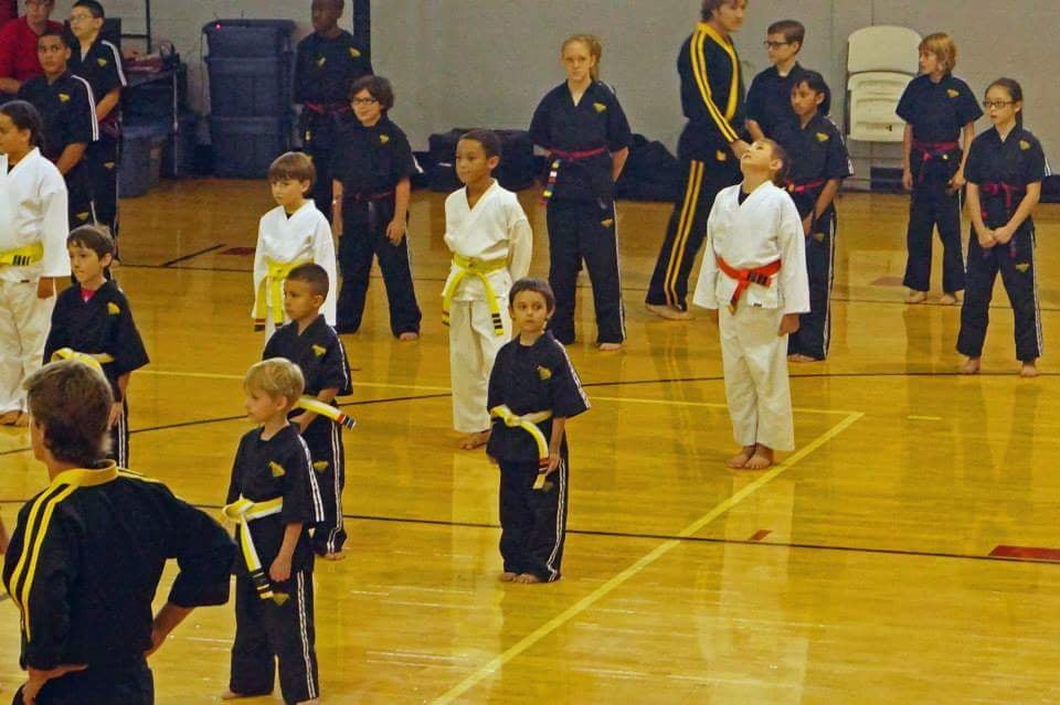 Premier Martial Arts Logo