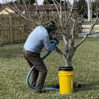 All Bees Removal - Pest Control Near Me - Davie, Florida All Bees Removal - Pest Control Near Me - Davie, Florida