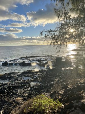 Spouting Horn by null