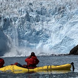Sunny Cove Kayaking, Hiking & Wildlife Cruise Adventures - Glacier calving