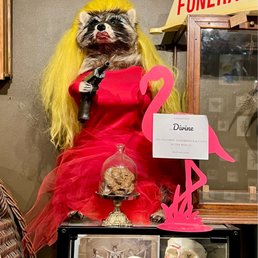 Pink Flamingos' Divine - straight out of your trash can edition - A taxidermy raccoon dressed in a red dress with long yellow hair and makeup, holding a gun, is part of a display. The display includes a sign labeling it as the "Divine," described as the "filthiest taxidermy raccoon in the world." The figure is positioned on a glass display case containing skulls and anatomical models, with a pink flamingo decoration and a sign reading "FUNERAL" in the background.