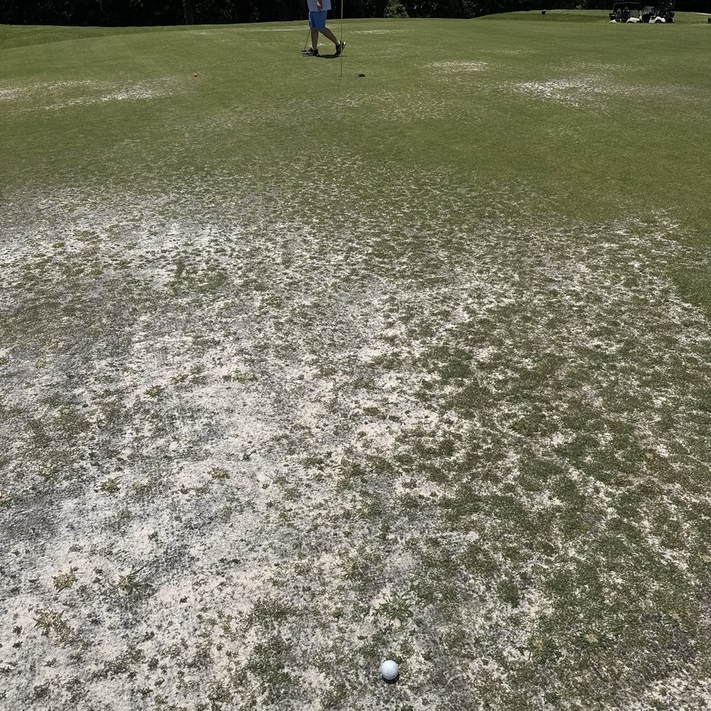 Eglin Golf Course - Green Area - Golf Near Me - Niceville, Florida