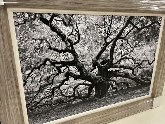 Sago House Furniture by null