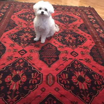Linda's Rug House - My new afghan rug! Such a beauty - Rugs Near Me Linda's Rug House - My new afghan rug! Such a beauty - Rugs Near Me