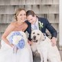Photo of Kelly Kollar Photography