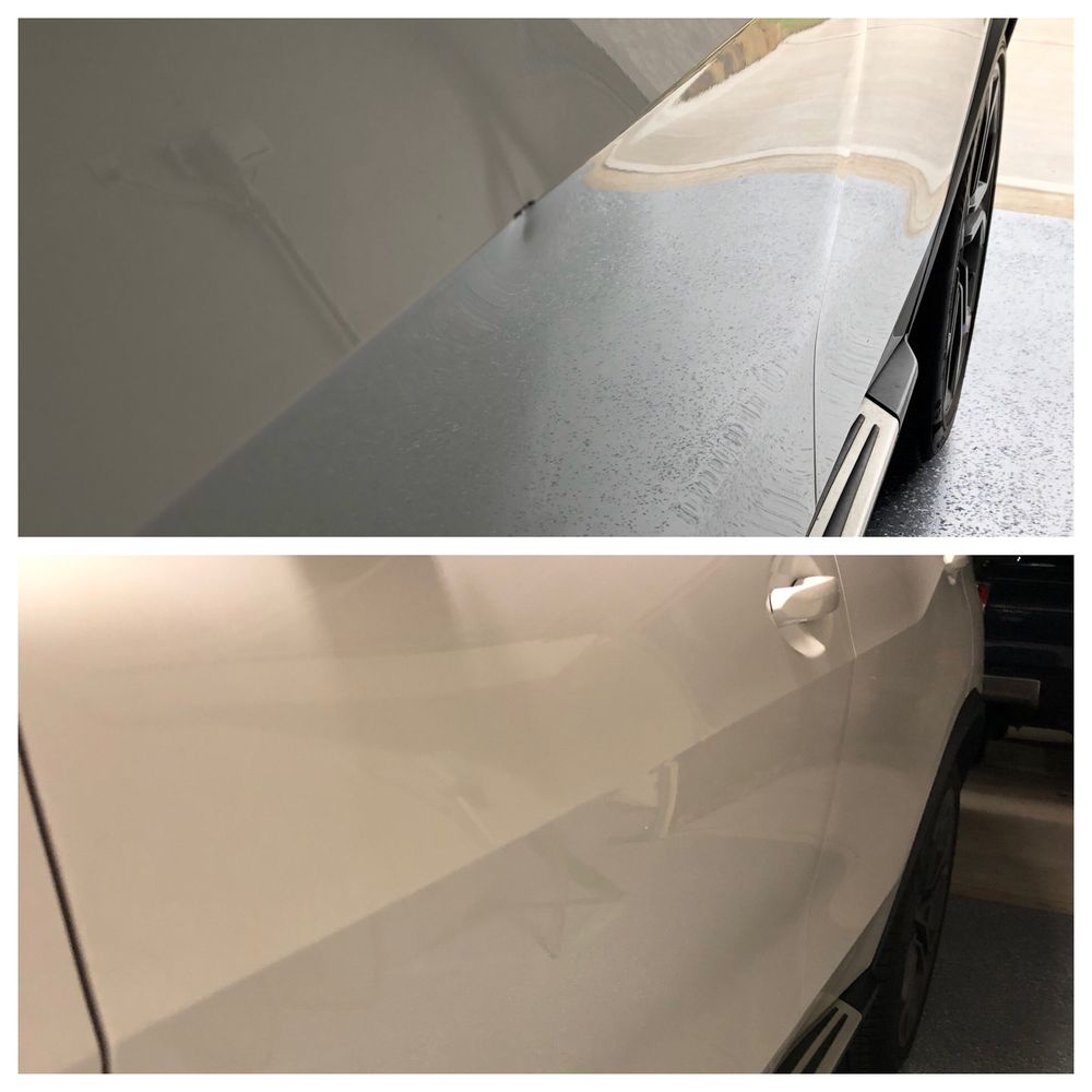 HAIL LIONS 37 Photos 26844 Wellington Ct, Kingwood, Texas Body