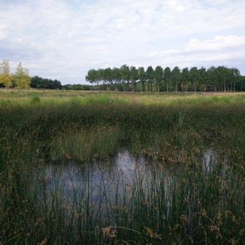 Riemer Park - Parks Near Me - Munich, BY
