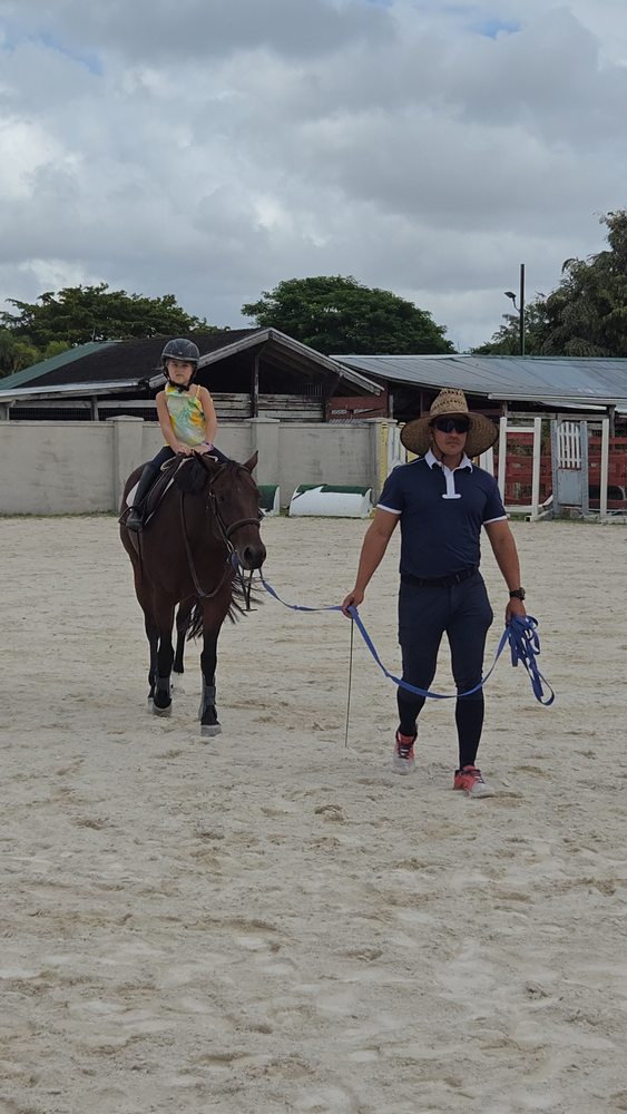 Ahg Equestrian Bless - equestrian in Miami, FL