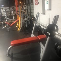 Snap Fitness Forest Lake