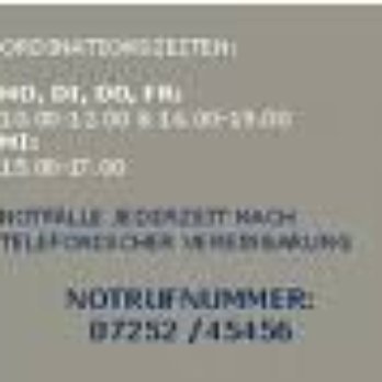 Tierklinik Steyr - Notdienst - Veterinarians Near Me - Steyr, 4
