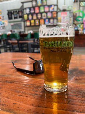 Transplants Brewing Company by null