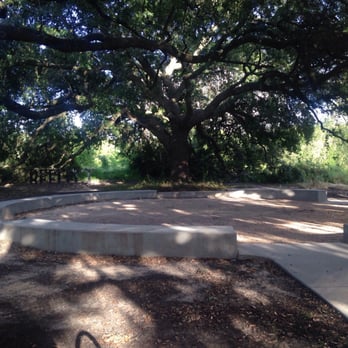 Waugh Drive Bat Colony - Nice place to... - Local Flavor Near Me - Houston, Texas Waugh Drive Bat Colony - Nice place to... - Local Flavor Near Me - Houston, Texas