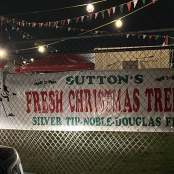 Sutton's Christmas Trees - Christmas Trees Near Me - Rocklin, California Sutton's Christmas Trees - Christmas Trees Near Me - Rocklin, California