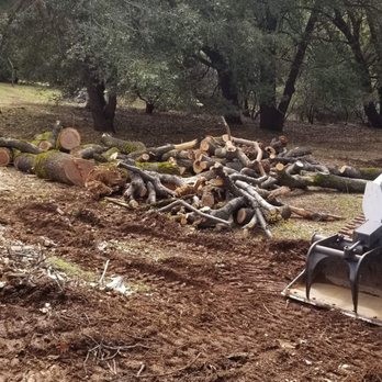 Lone Pine Tree Service - Staged wood for future splitting. - Tree Services Near Me - Valley Springs, California Lone Pine Tree Service - Staged wood for future splitting. - Tree Services Near Me - Valley Springs, California