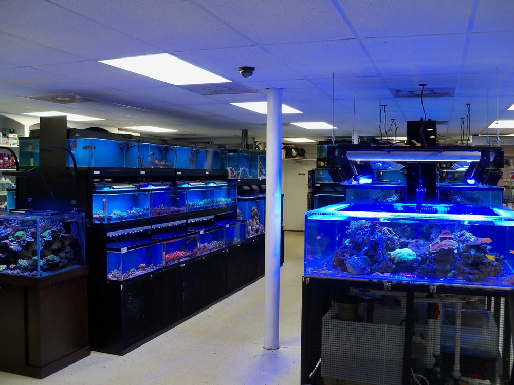 CREATIVE AQUARIUMS OF TAMPA Updated September 2024 14 Reviews 150