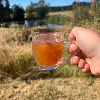 Stone Circle Cider - Half pint of the 2/3 dry 1/3 sweet. - Cideries Near Me - Estacada, Oregon Stone Circle Cider - Half pint of the 2/3 dry 1/3 sweet. - Cideries Near Me - Estacada, Oregon